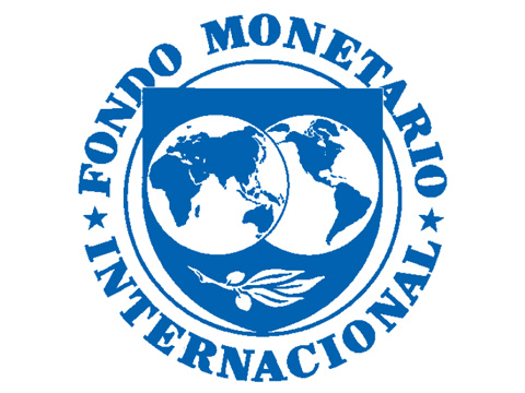 fondo monetario internacional logo